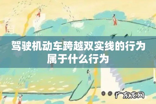 驾驶机动车跨越双实线的行为属于什么行为