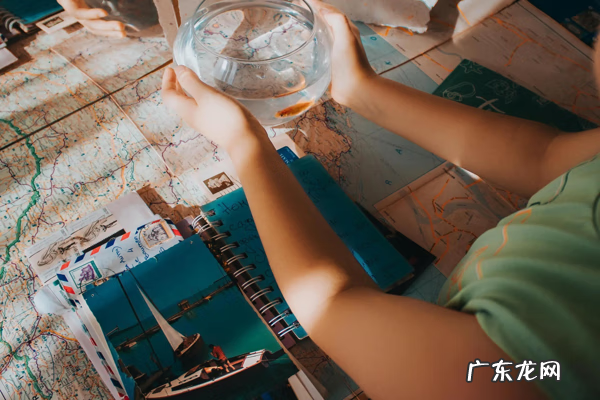 什么减肚子最快最有效 减肥好方法有哪些