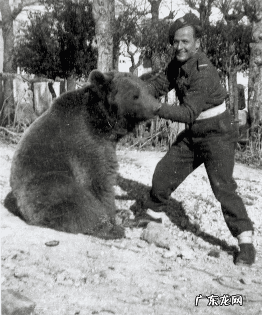 风水龙是什么样子的 家里有乌龙风水好吗