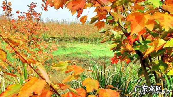 重庆合川八大风景 合川三江汇合处风水