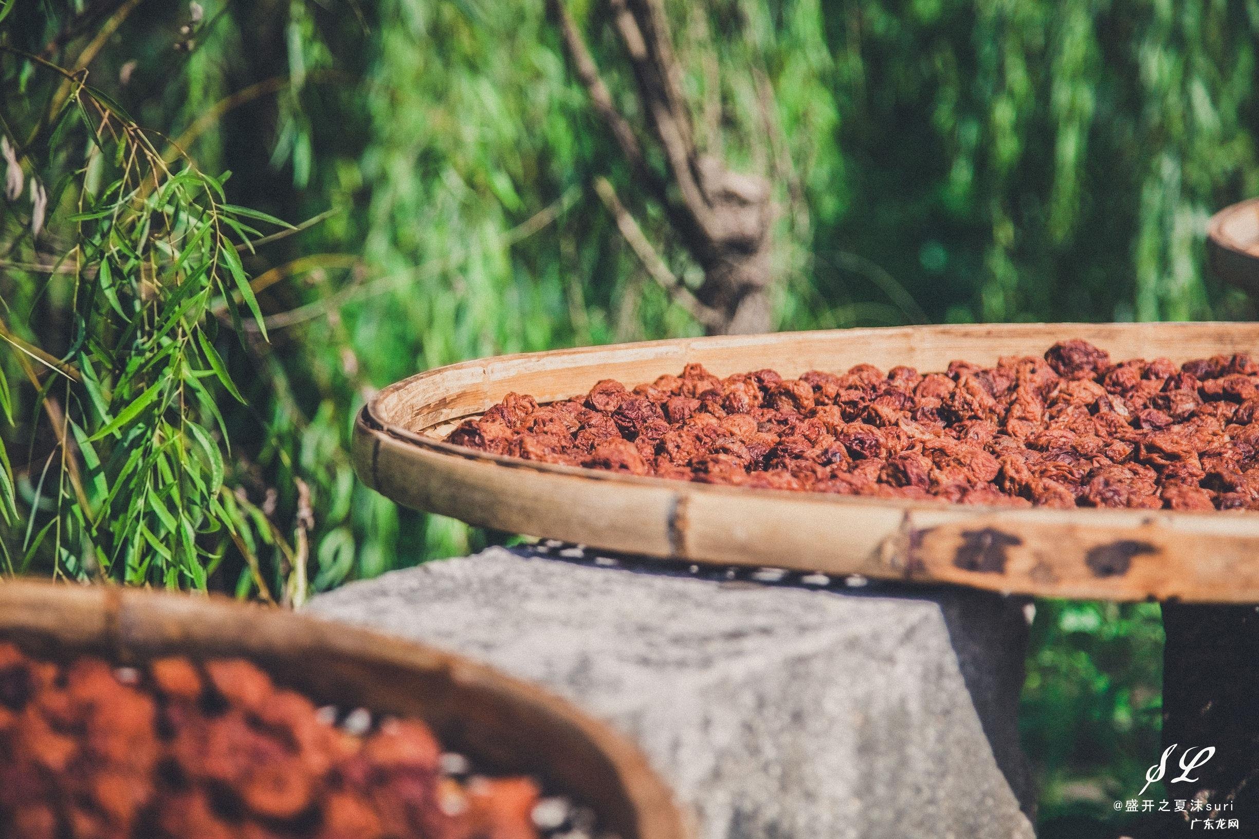 螭吻的风水作用