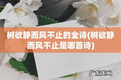 树欲静而风不止是哪首诗 树欲静而风不止的全诗