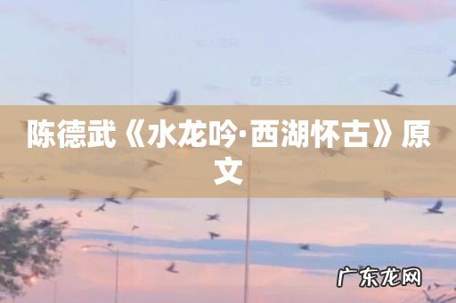 陈德武《水龙吟·西湖怀古》原文