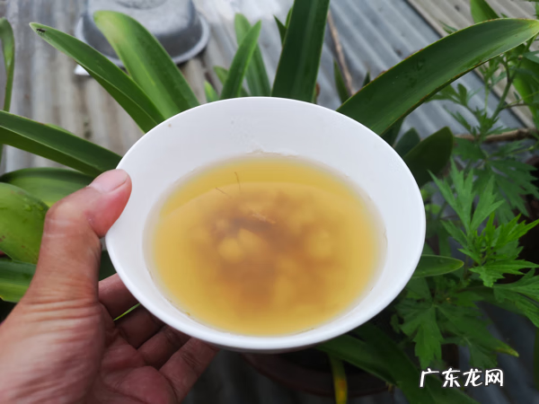 人参的简单吃法 人参正确吃法