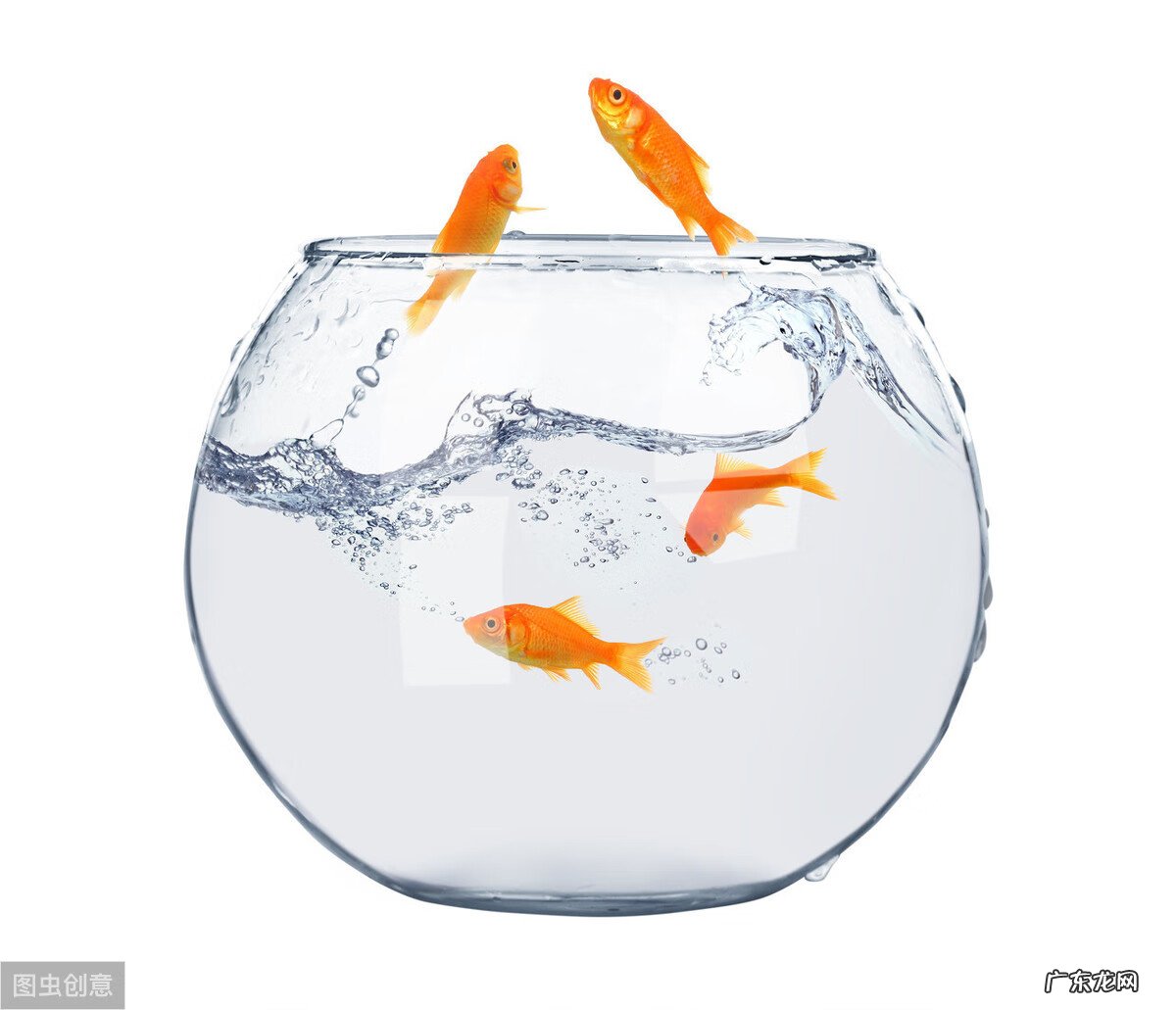 进门鱼缸风水禁忌 鱼缸放置位置风水图解