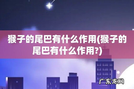 猴子的尾巴有什么作用? 猴子的尾巴有什么作用