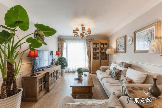 万年青风水讲究 万年青放电视旁边好吗?