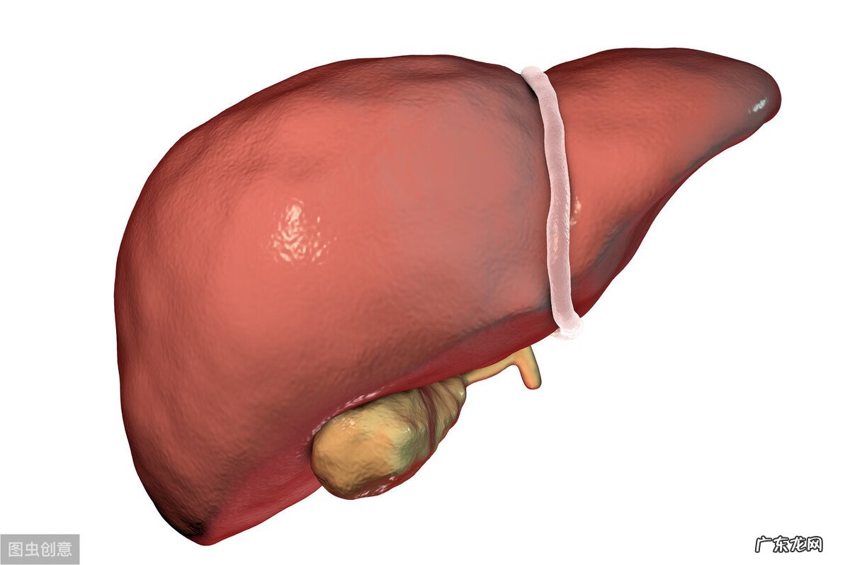 谷丙转氨酶高什么病 谷丙转氨酶偏高