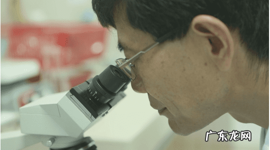 食疗养生药膳大全 药膳食疗师