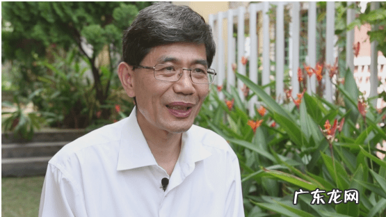 食疗养生药膳大全 药膳食疗师