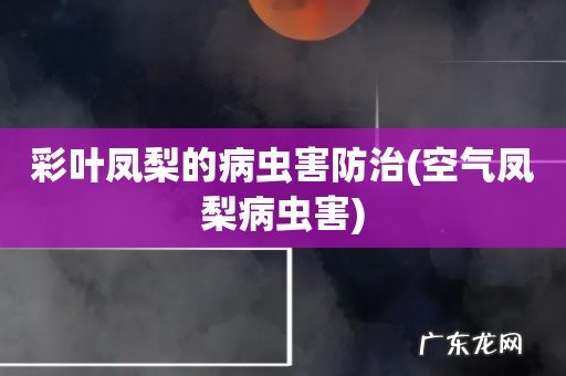空气凤梨病虫害 彩叶凤梨的病虫害防治