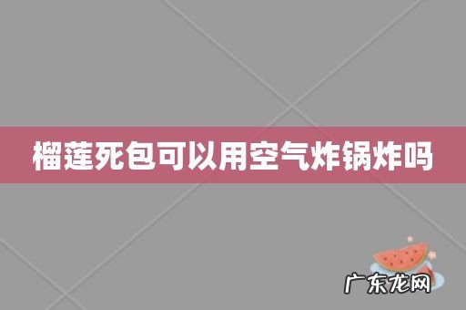 榴莲死包可以用空气炸锅炸吗