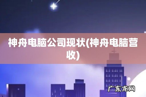 神舟电脑营收 神舟电脑公司现状
