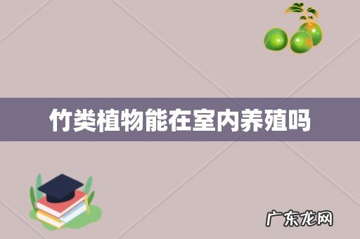 竹类植物能在室内养殖吗