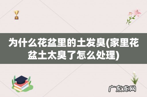 家里花盆土太臭了怎么处理 为什么花盆里的土发臭