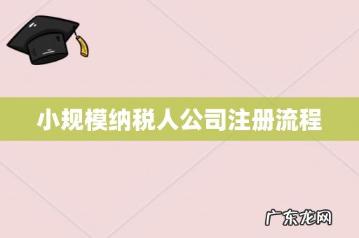 小规模纳税人公司注册流程