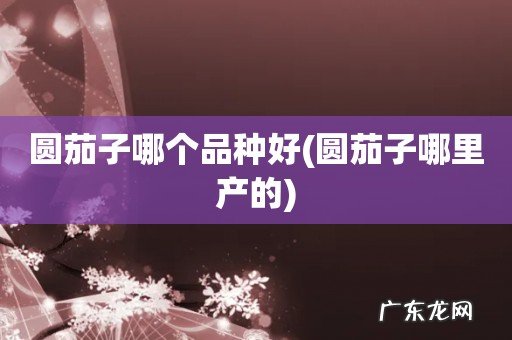 圆茄子哪里产的 圆茄子哪个品种好