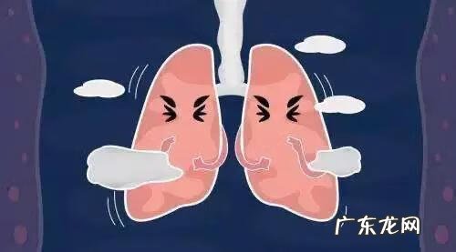 支气管炎饮食吃什么好 气管炎吃什么好得快