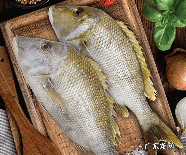 降血脂最有效十种食物 吃什么能降血脂高最快