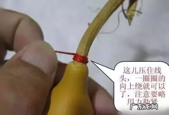 金属葫芦风水 风水葫芦用什么颜色绳子