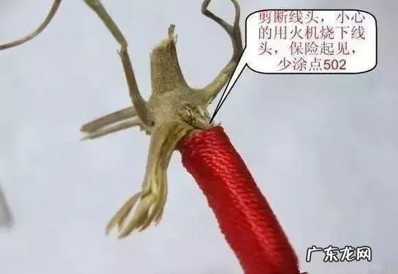 金属葫芦风水 风水葫芦用什么颜色绳子