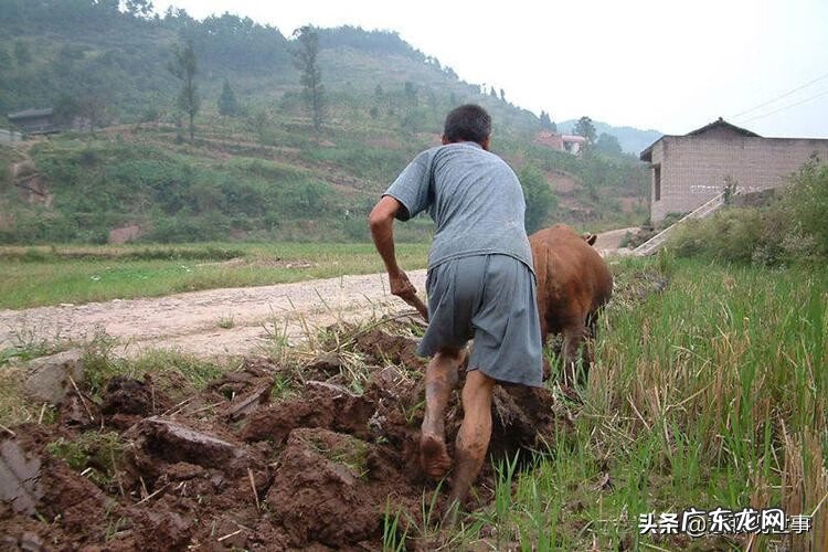 岩洞葬风水 青杠寨安葬风水