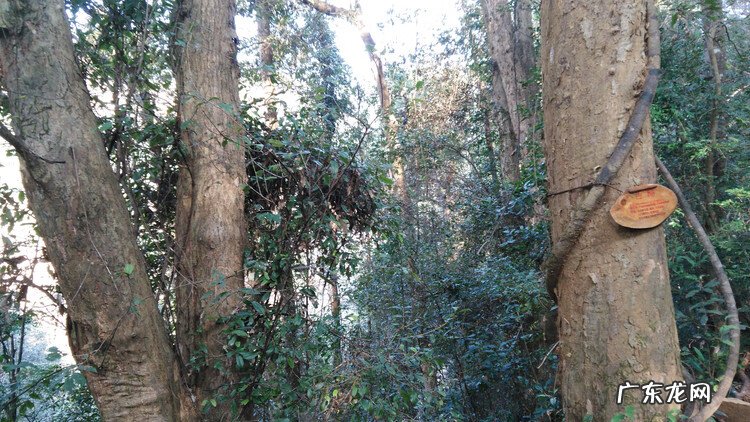 哪些地方风水不好 建瓯风水不好的地段