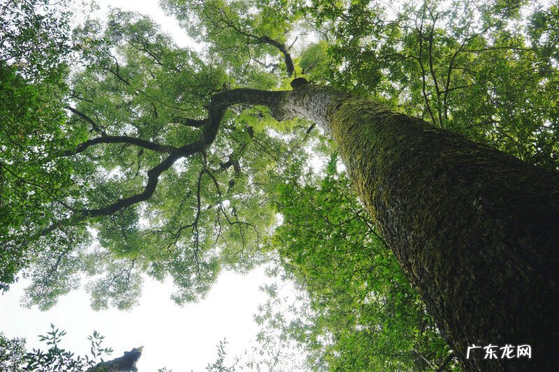 哪些地方风水不好 建瓯风水不好的地段