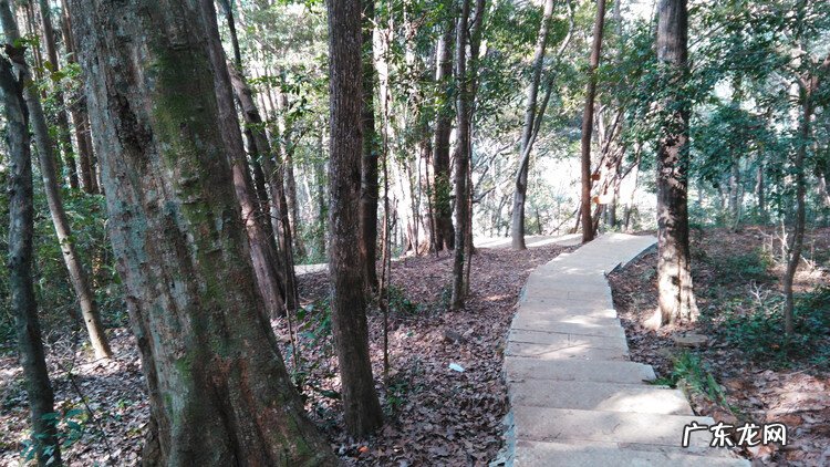 哪些地方风水不好 建瓯风水不好的地段