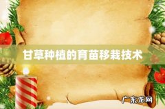 甘草种植的育苗移栽技术