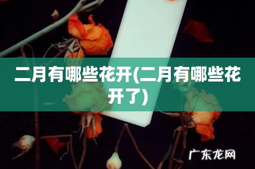 二月有哪些花开了 二月有哪些花开