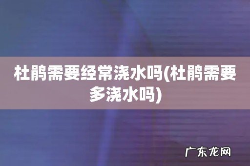 杜鹃需要多浇水吗 杜鹃需要经常浇水吗