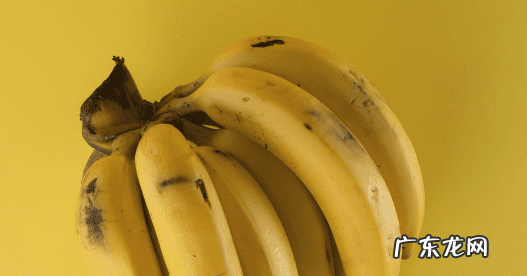 运动会稿件格式 职工运动会稿件