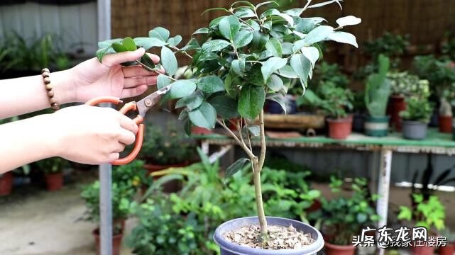 风水先生剪刀路 房子剪刀路风水