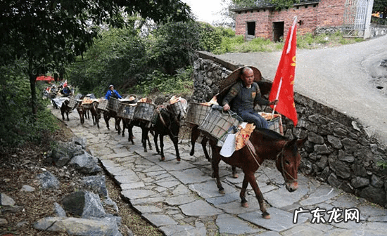 德缘堂风水视频 华夏雄师道德风水讲堂
