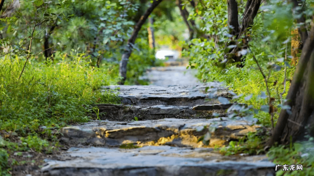 德缘堂风水视频 华夏雄师道德风水讲堂