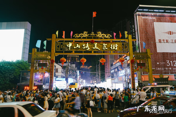 黑蚂蚁怎么打成粉 黑蚂蚁粉的作用与功效