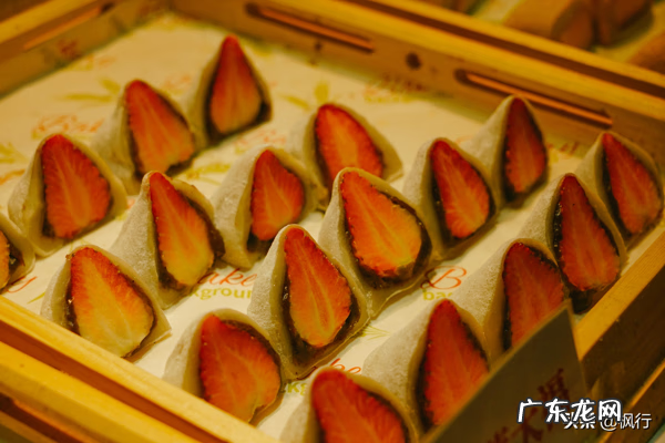 黑蚂蚁怎么打成粉 黑蚂蚁粉的作用与功效