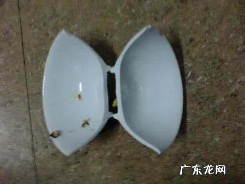 东西破损了怎么丢风水好 老爱丢东西和自身风水有关吗