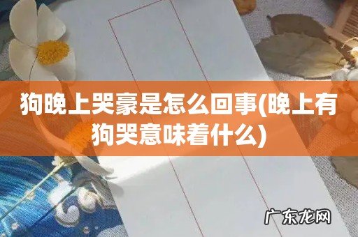 晚上有狗哭意味着什么 狗晚上哭豪是怎么回事