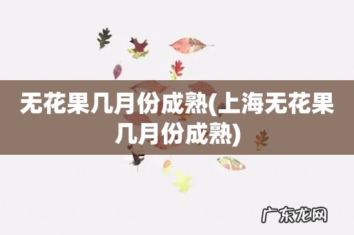 上海无花果几月份成熟 无花果几月份成熟