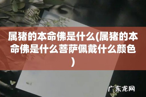 属猪的本命佛是什么菩萨佩戴什么颜色 属猪的本命佛是什么