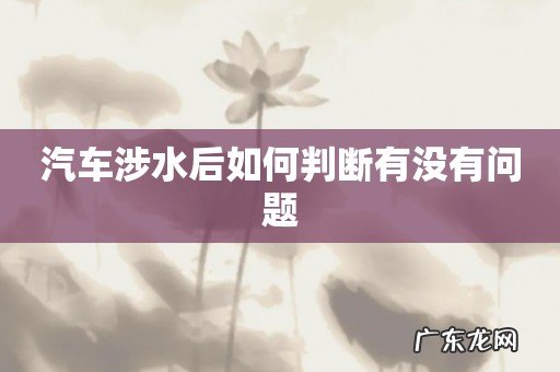 汽车涉水后如何判断有没有问题