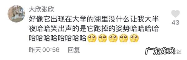 风水鹿有什么讲究 鹿与猴风水