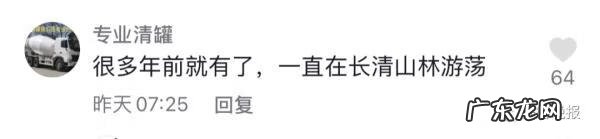 风水鹿有什么讲究 鹿与猴风水