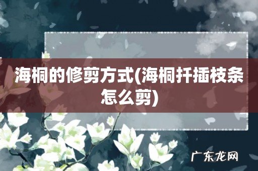 海桐扦插枝条怎么剪 海桐的修剪方式