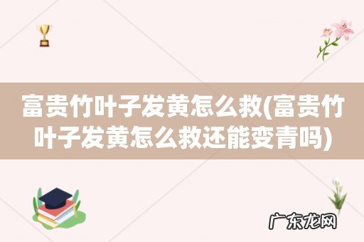 富贵竹叶子发黄怎么救还能变青吗 富贵竹叶子发黄怎么救