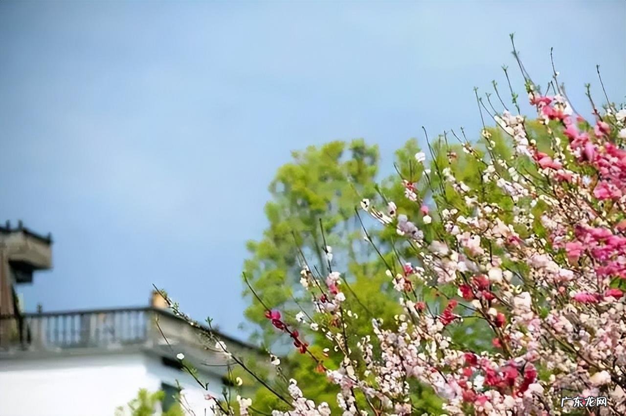 都江堰梁家山风水如何