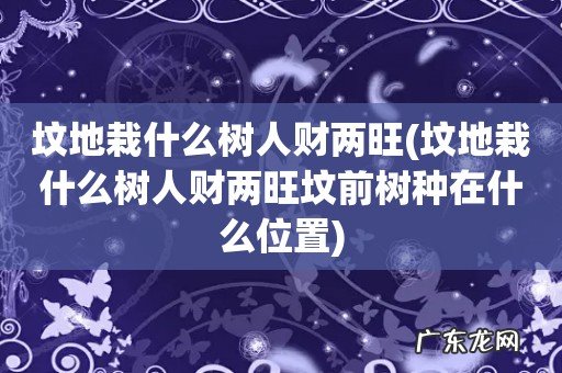坟地栽什么树人财两旺坟前树种在什么位置 坟地栽什么树人财两旺