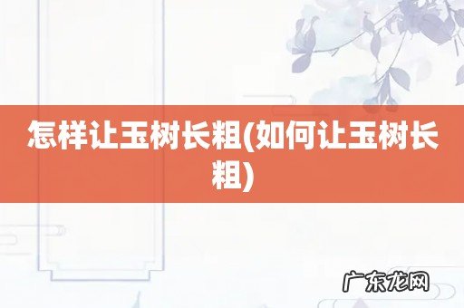 如何让玉树长粗 怎样让玉树长粗